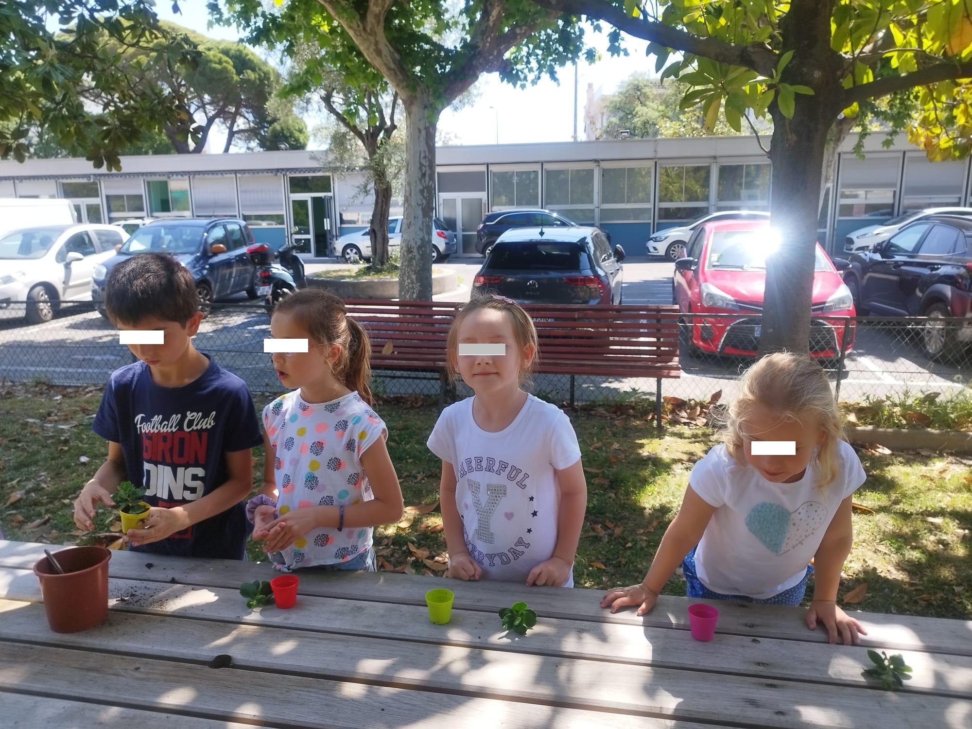 Cours d'éducation