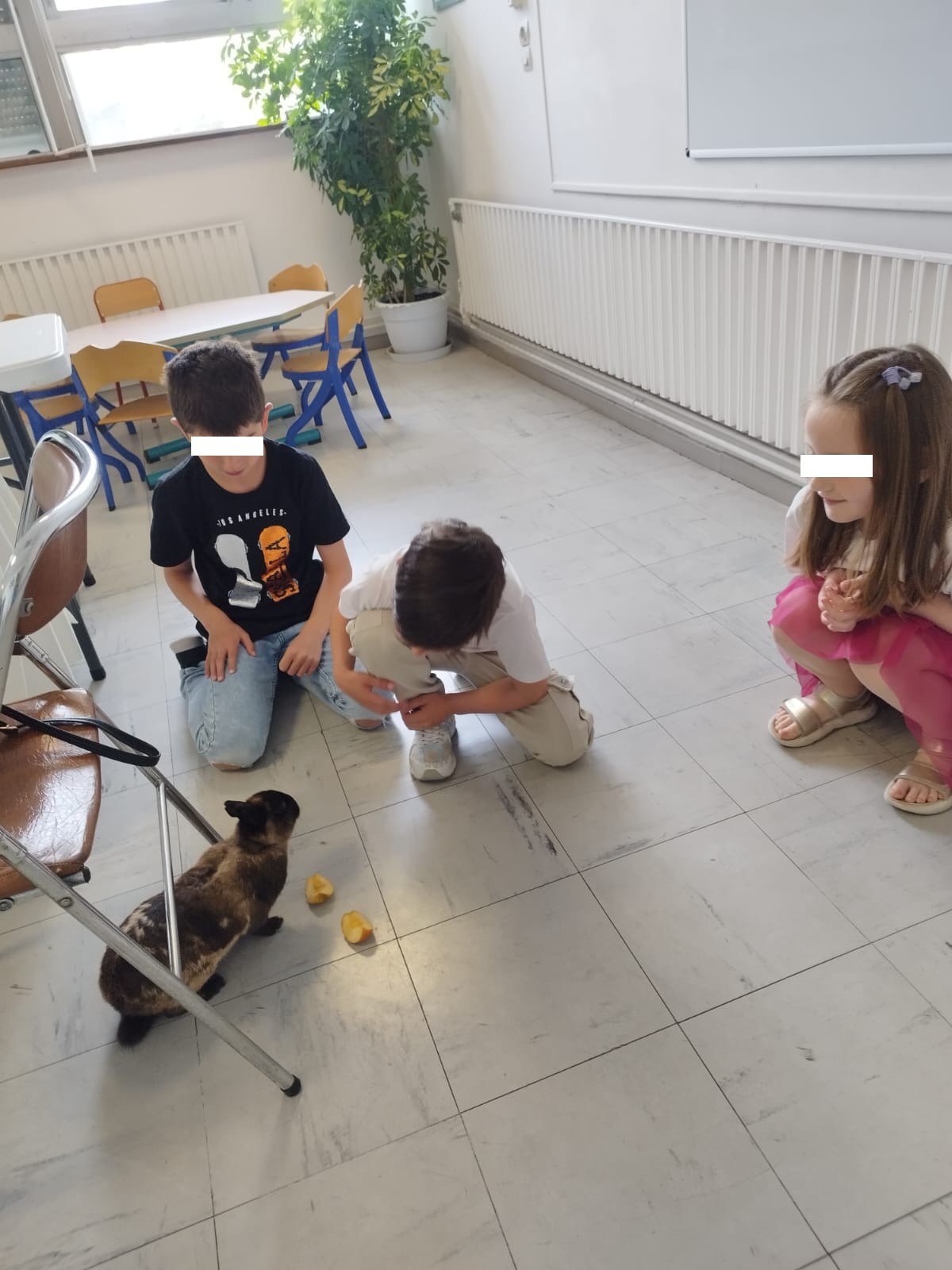 Cours d'éducation