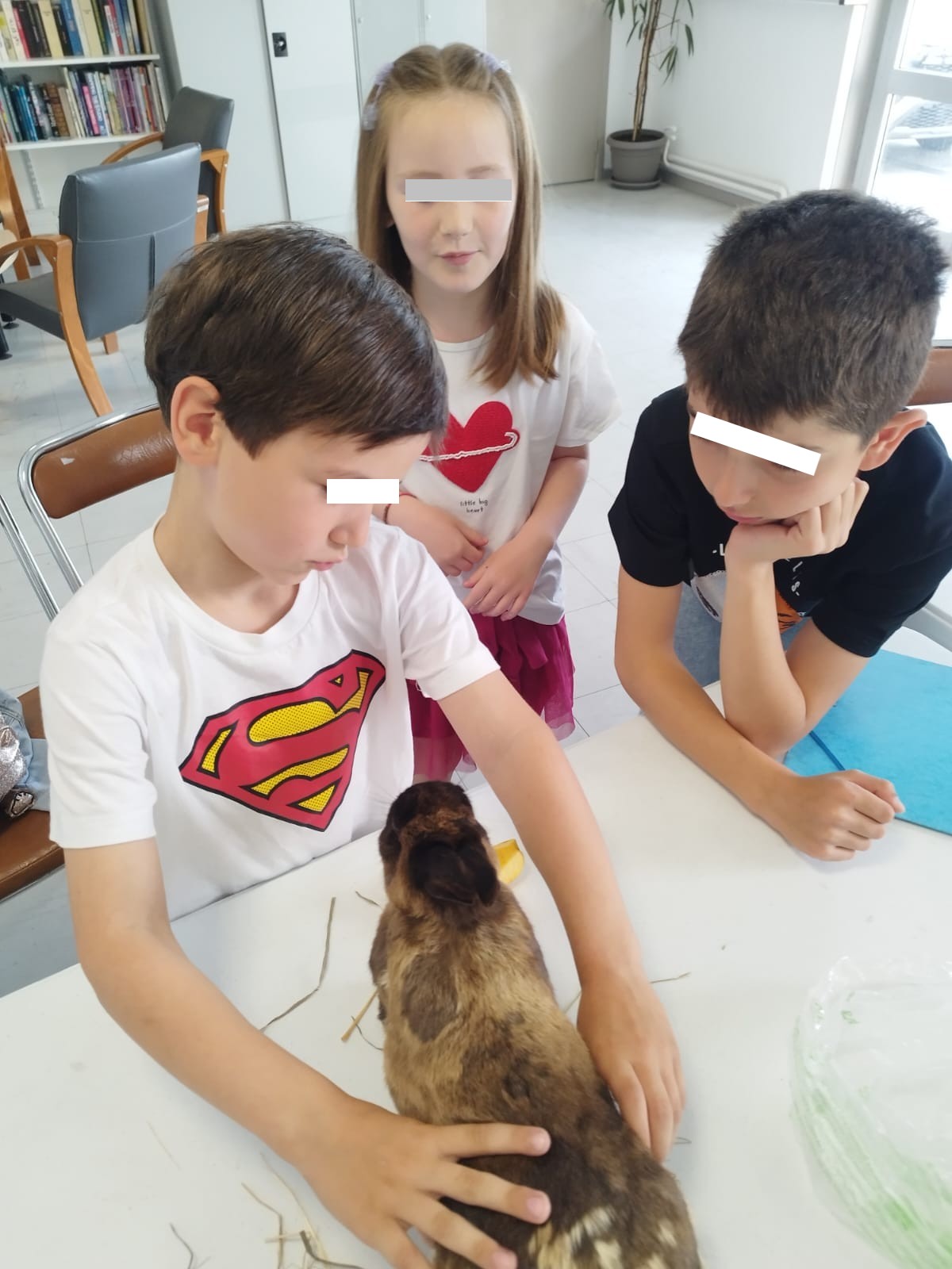 Cours d'éducation