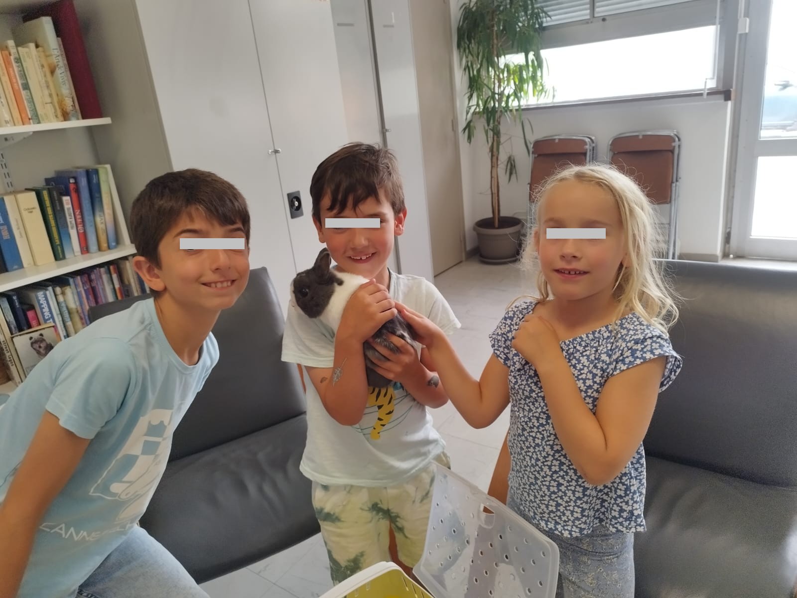 Cours d'éducation