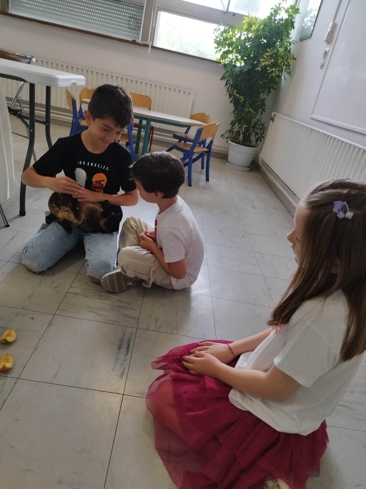 Cours d'éducation