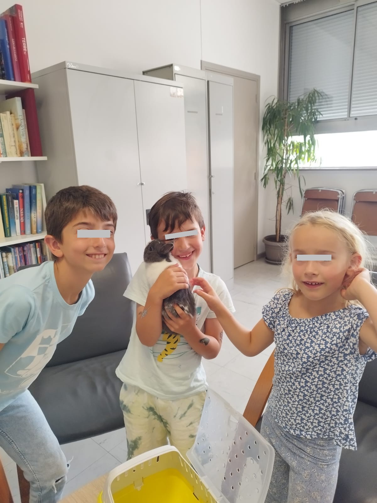 Cours d'éducation