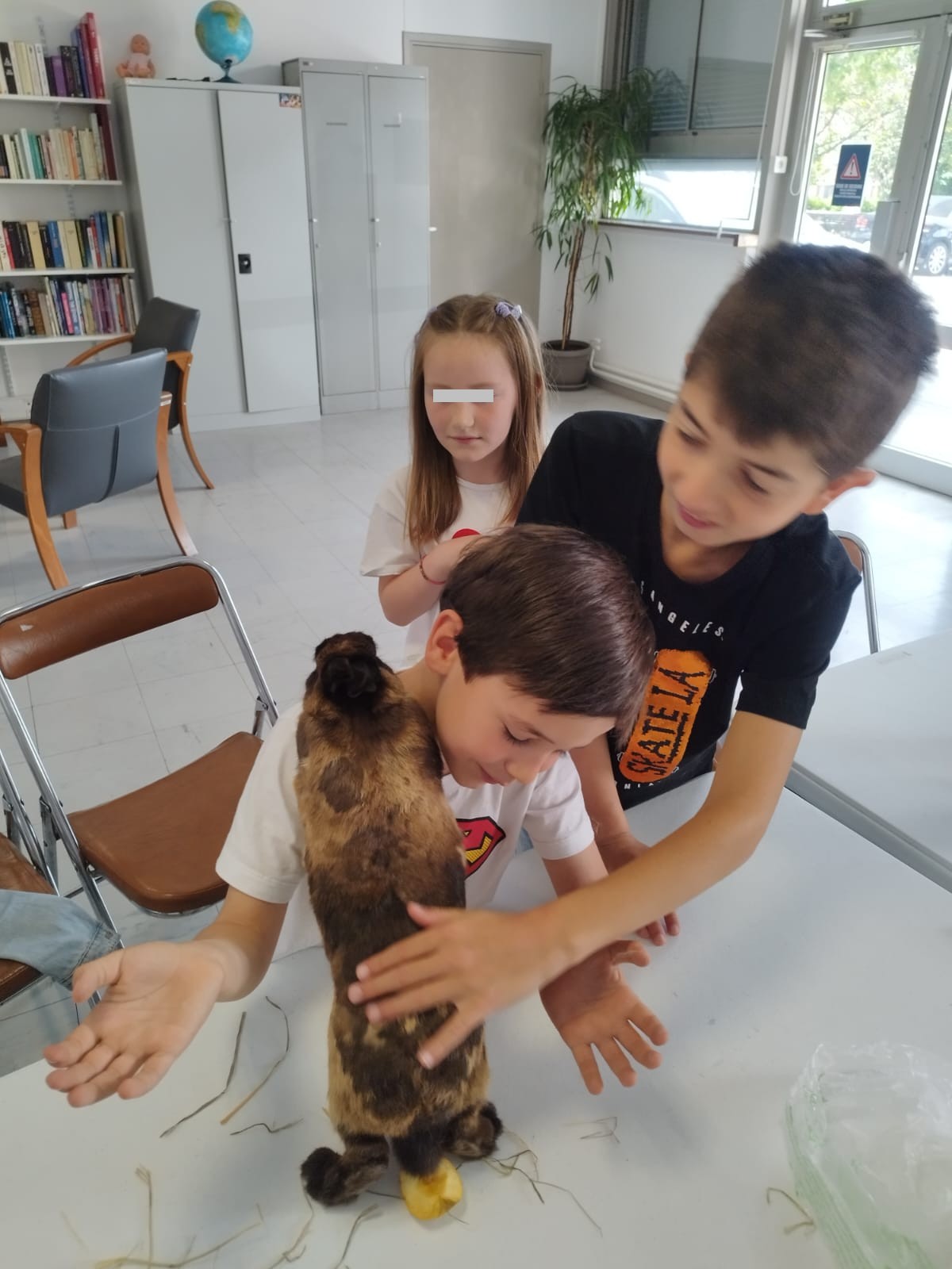 Cours d'éducation