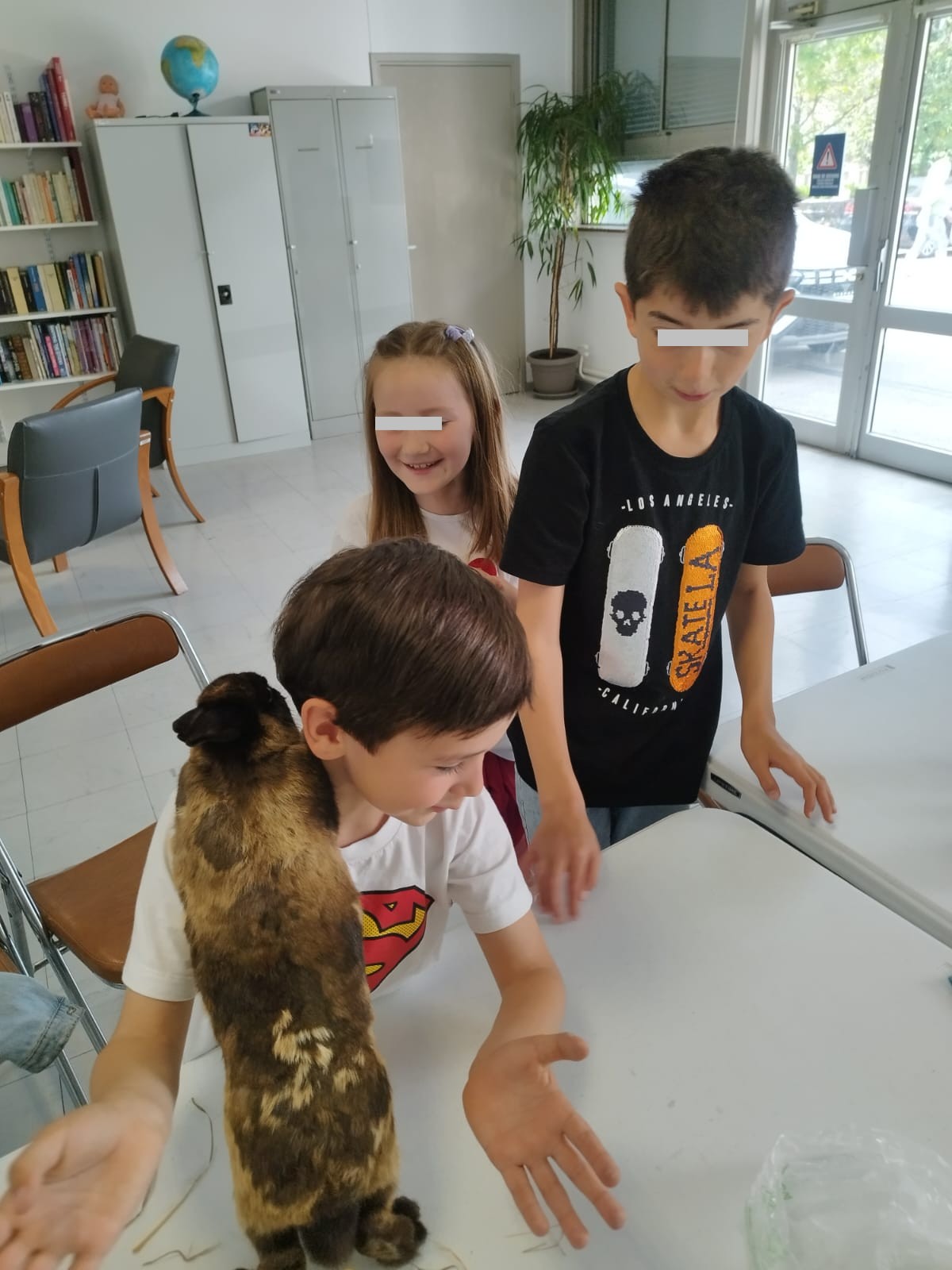Cours d'éducation
