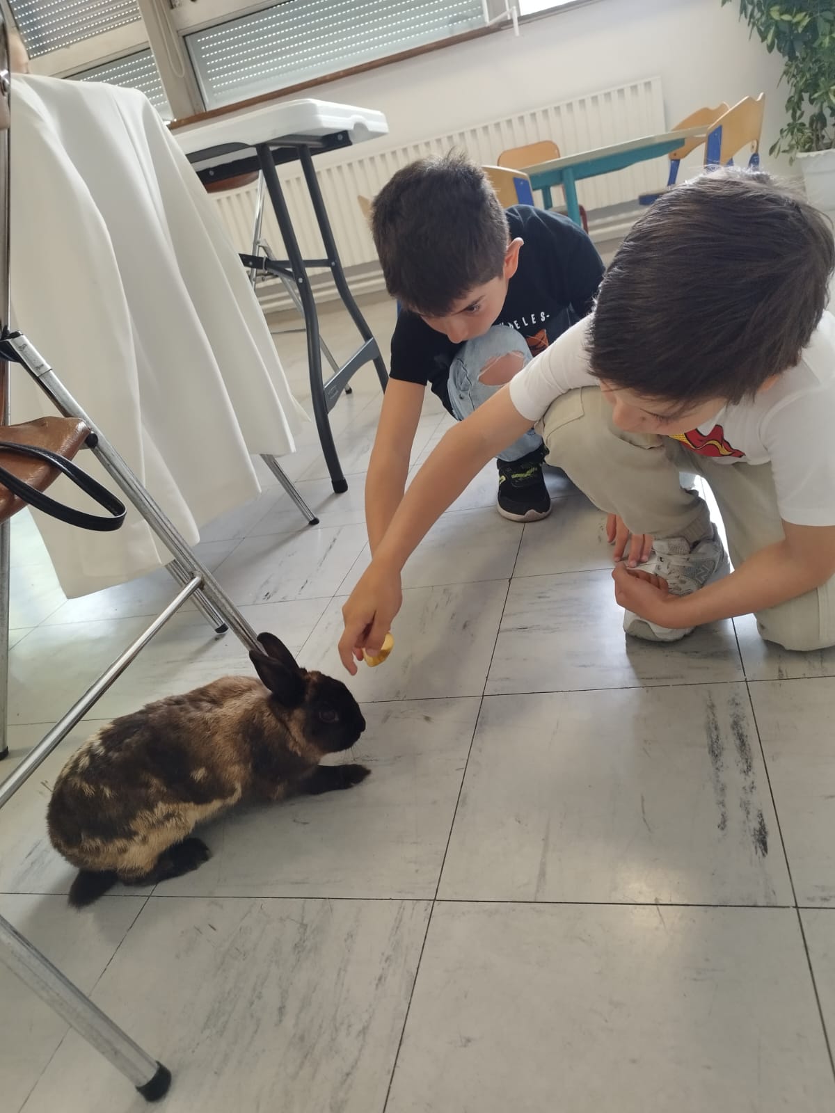 Cours d'éducation