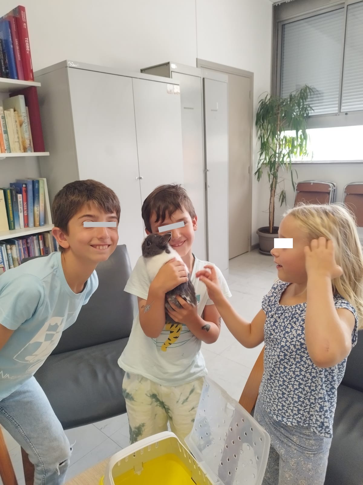 Cours d'éducation